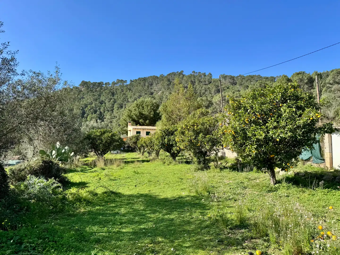 Casa rústica con terraza en venta en Carrer Pere Seriol 5, imagen 2