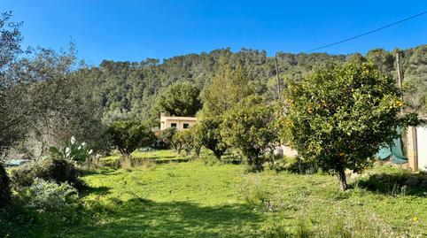 Foto 2 de Finca rústica en venda a Carrer Pere Seriol, 5, Andratx pueblo, Andratx