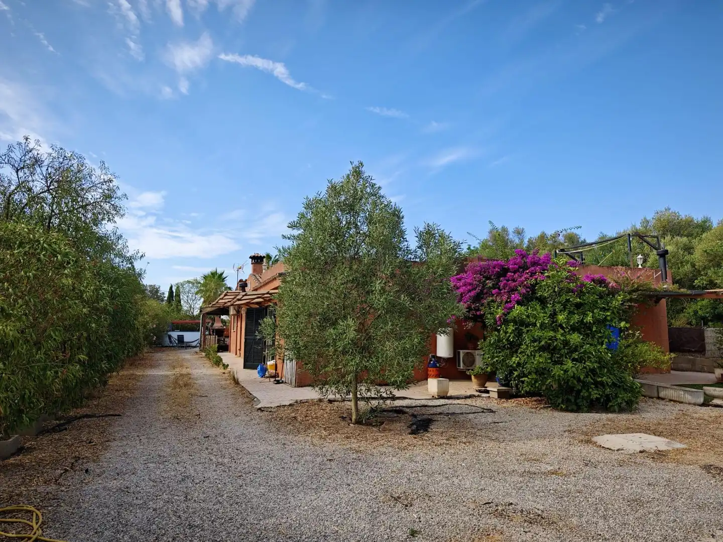 Vista exterior de Casa o chalet en venta en Algaida