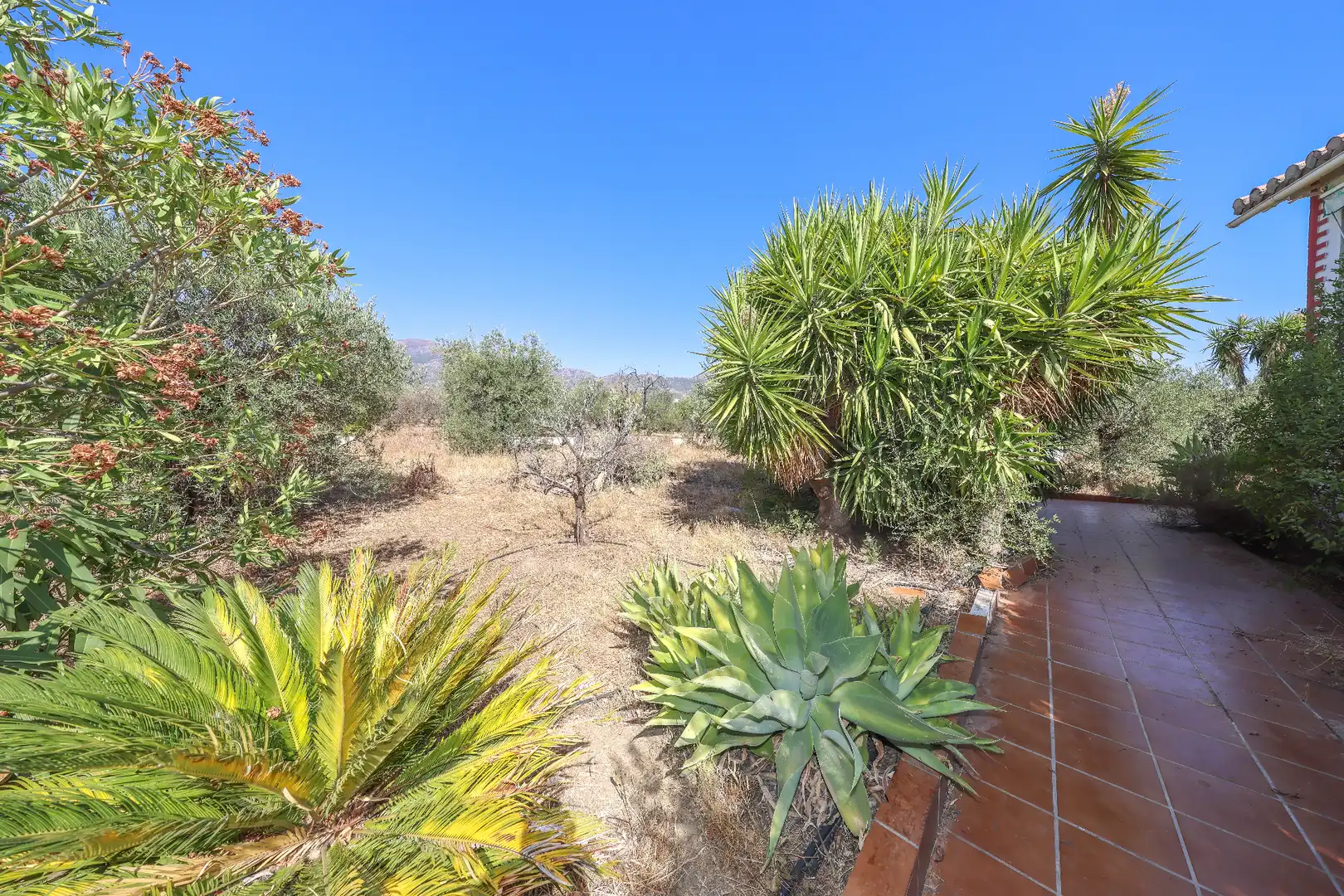 Jardí de Casa o xalet en venda en Casarabonela amb Jardí privat