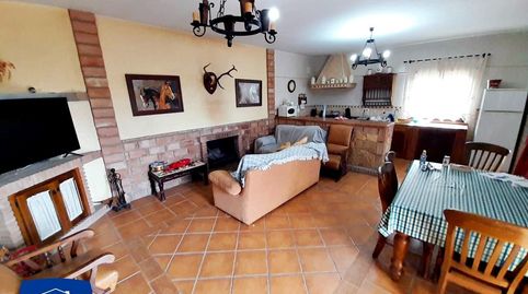 ARCOS DE LA FRONTERA, FINCA RÚSTICA DE 5.685M2, 2 CHALETS, BOXES Y ESTABLOS PARA CABALLOS, imagen 4