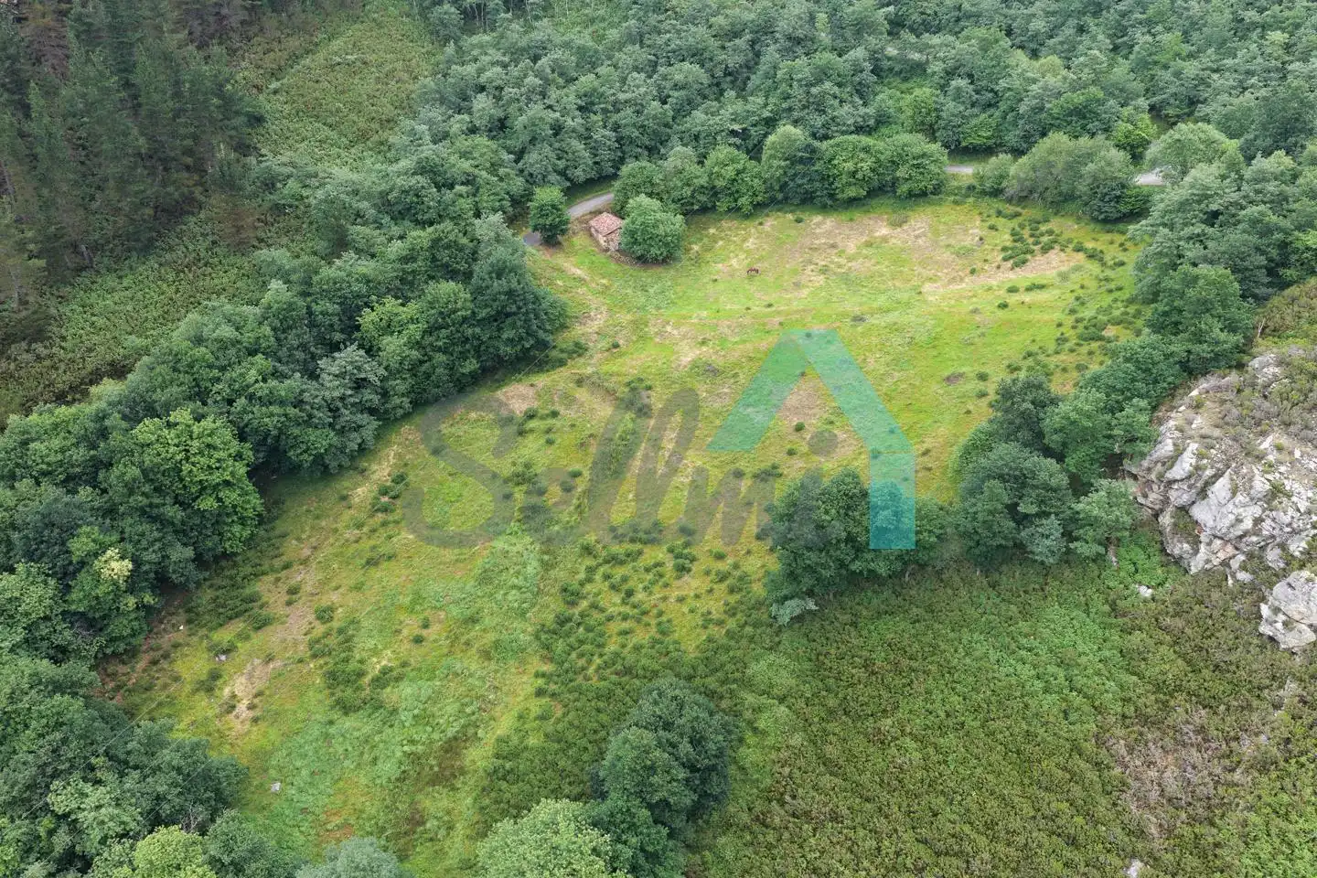 Land for sale in Proaza