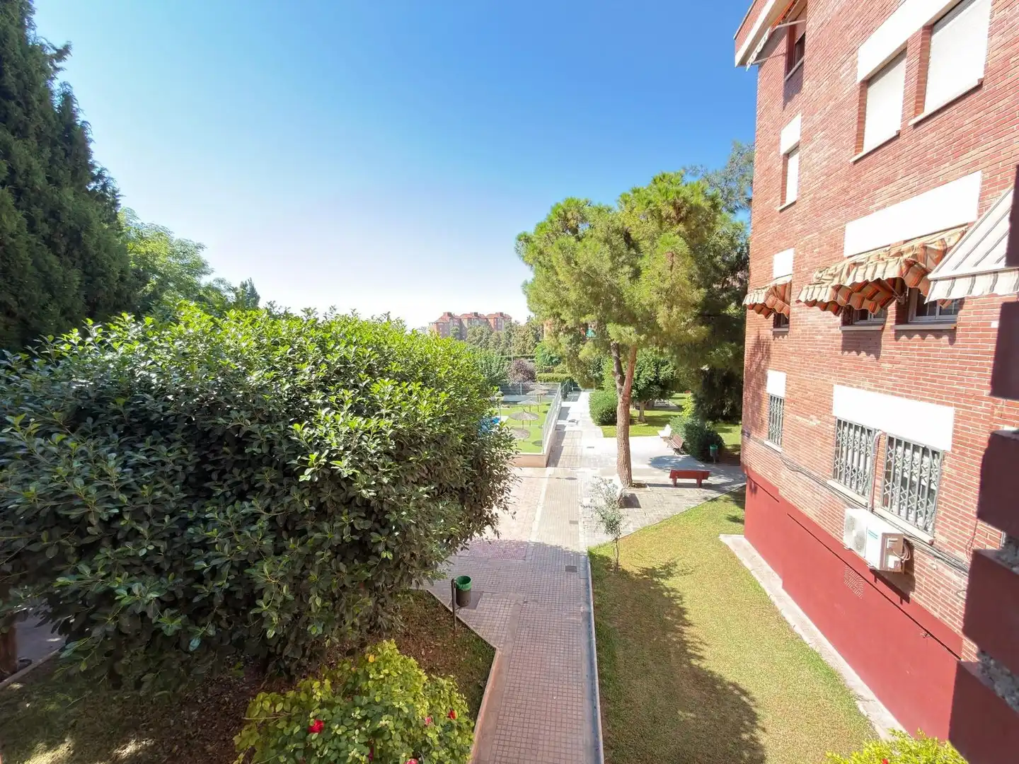 Garten von Wohnung zur Miete in San Blas
