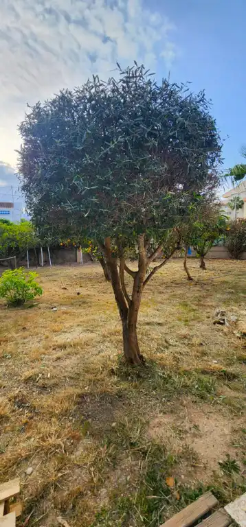 Casa o xalet en venda en L'Alfàs del Pi