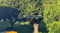 Jardí de Casa o xalet en venda en Chiclana de la Frontera