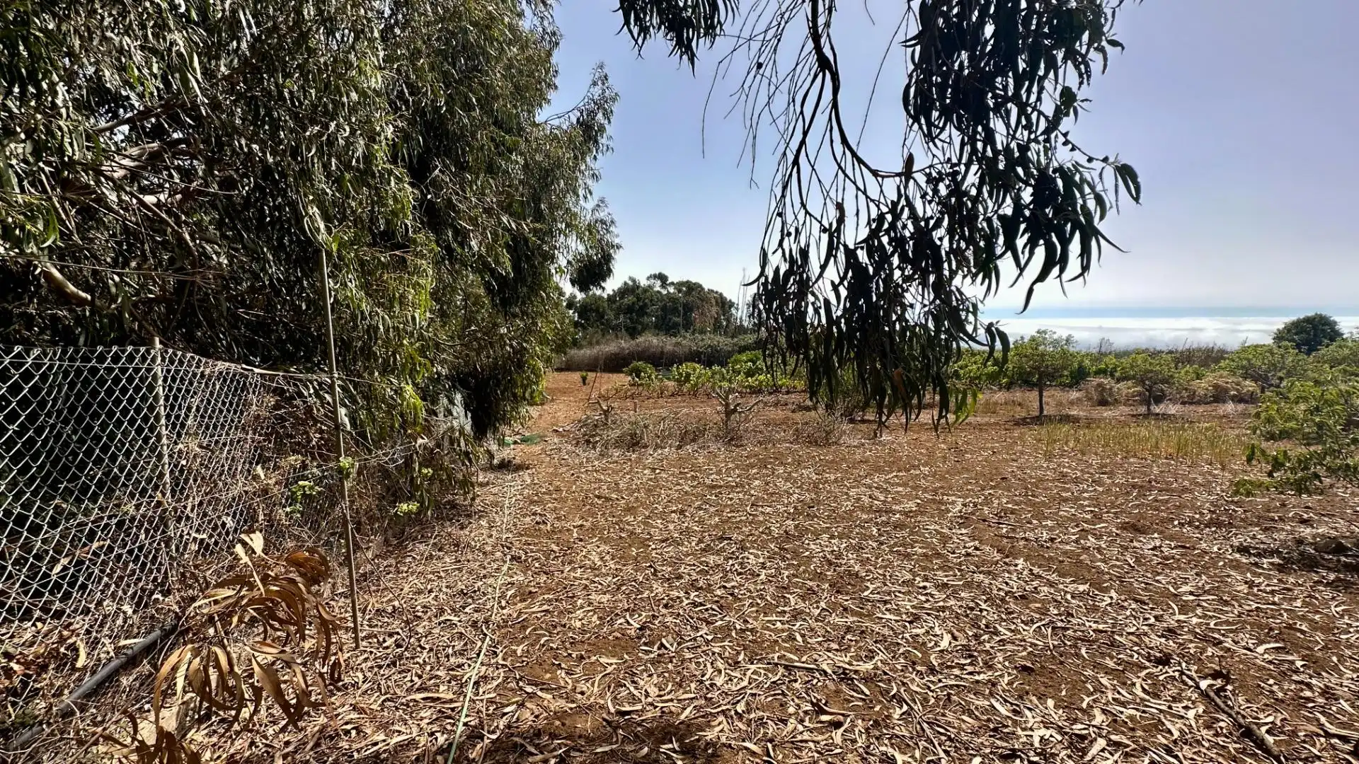 Finca rústica en venta en El Rosario con Jardín privado, Terraza y Alarma