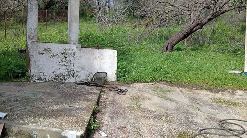 Foto 4 de Finca rústica en venda a Los Franceses – La Vega, Chiclana de la Frontera