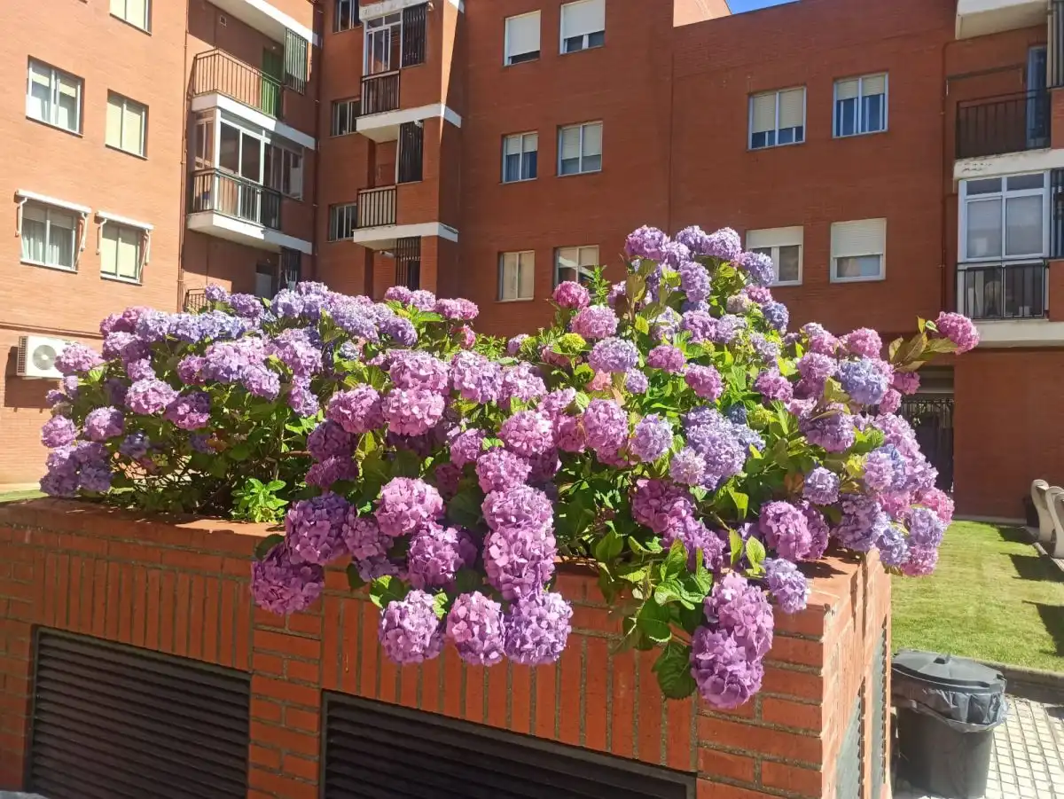 Balcony of Flat for rent in Salamanca  with Heating, Parquet flooring and Terrace