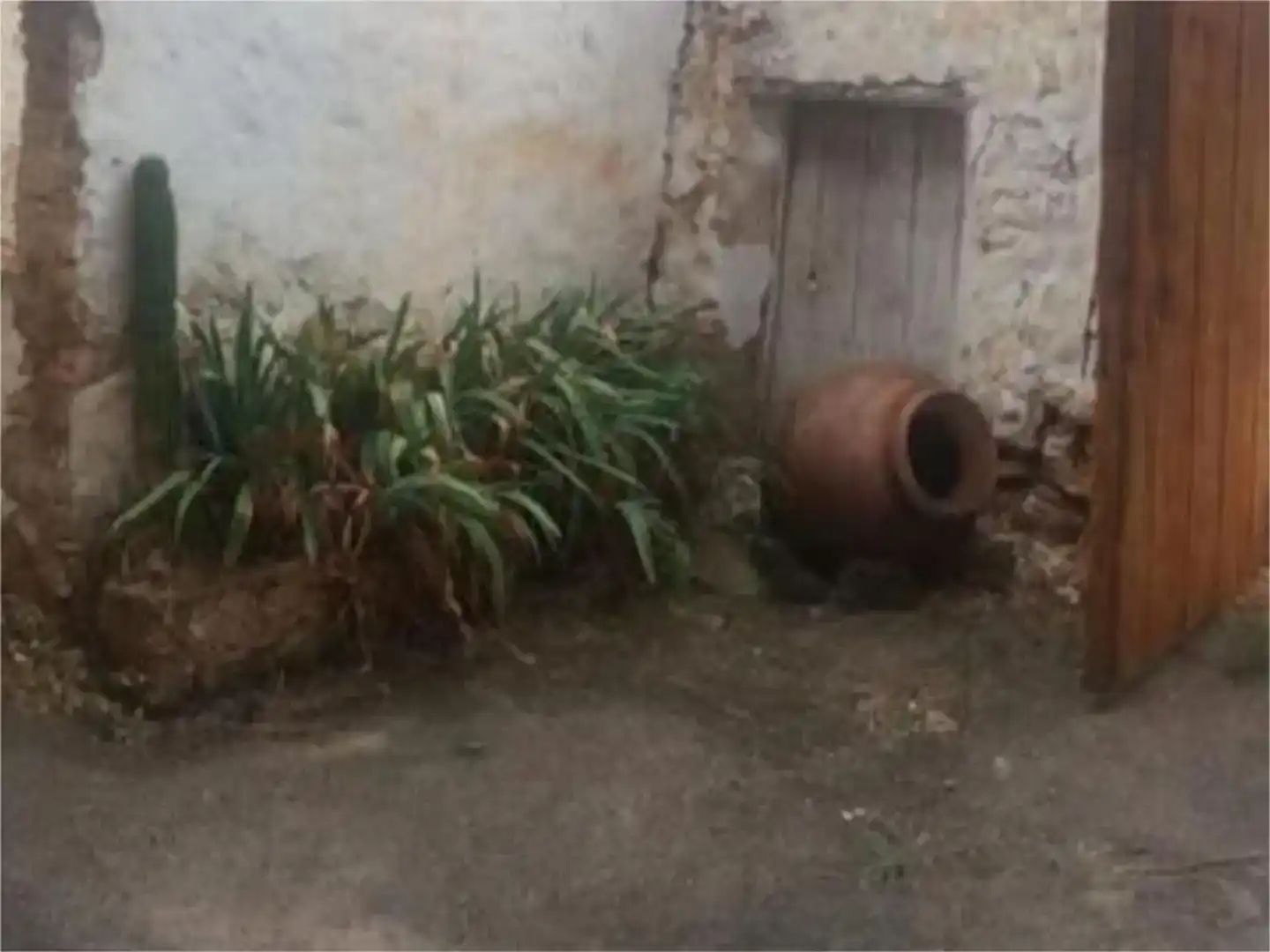 Jardí de Finca rústica en venda en Nerpio