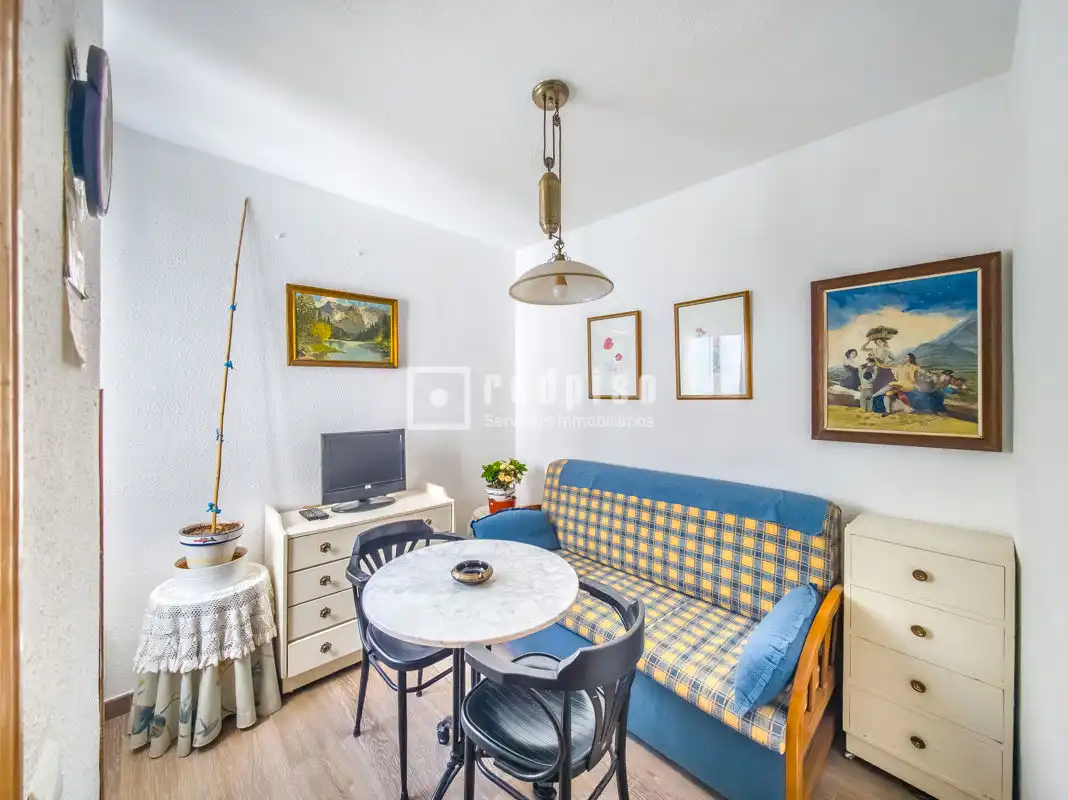 Sala d'estar de Pis en venda en Madrid amb Aire condicionat, Calefacció i Jardí privat