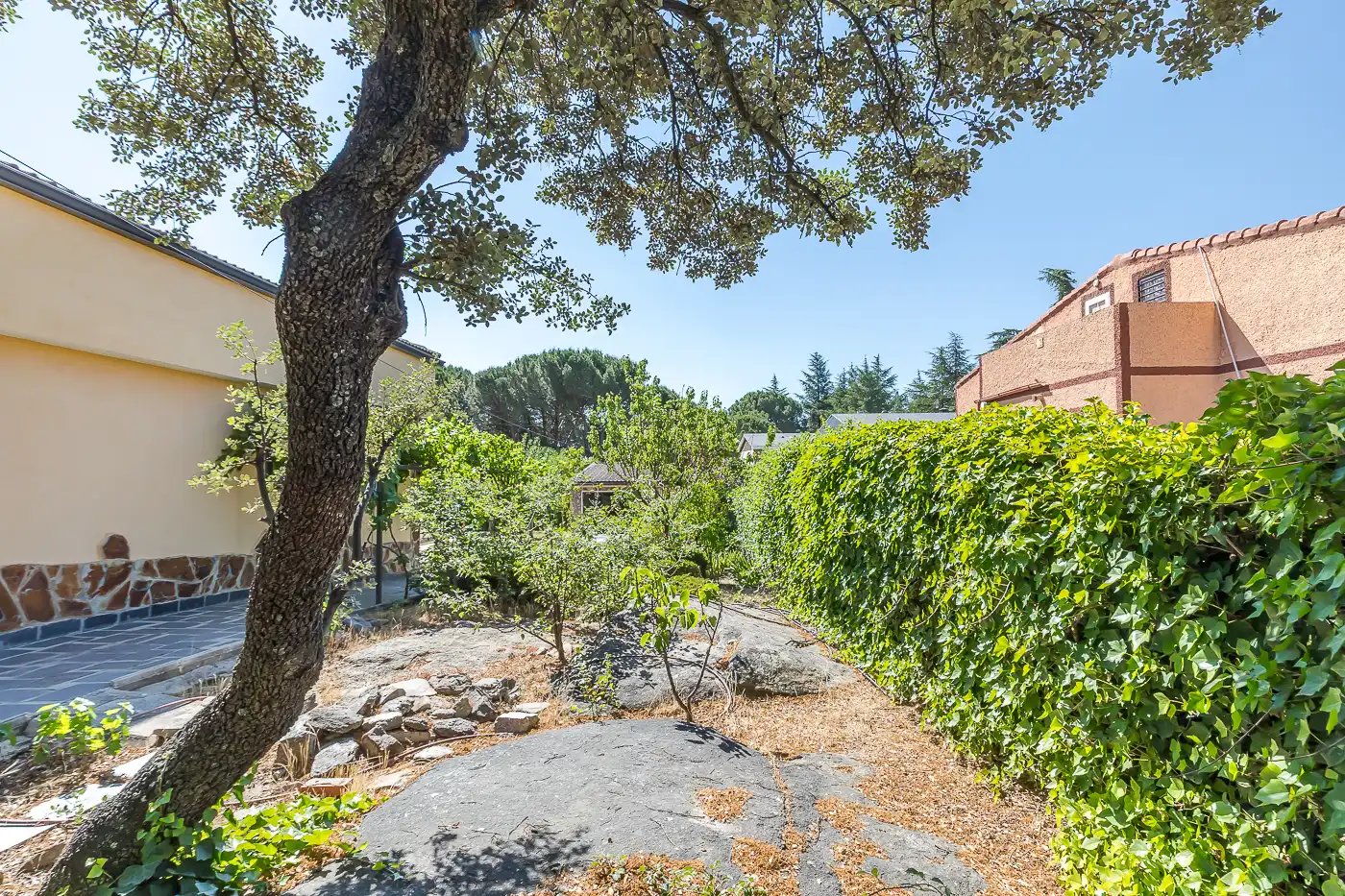 Jardín de Casa o chalet en venta en Guadarrama