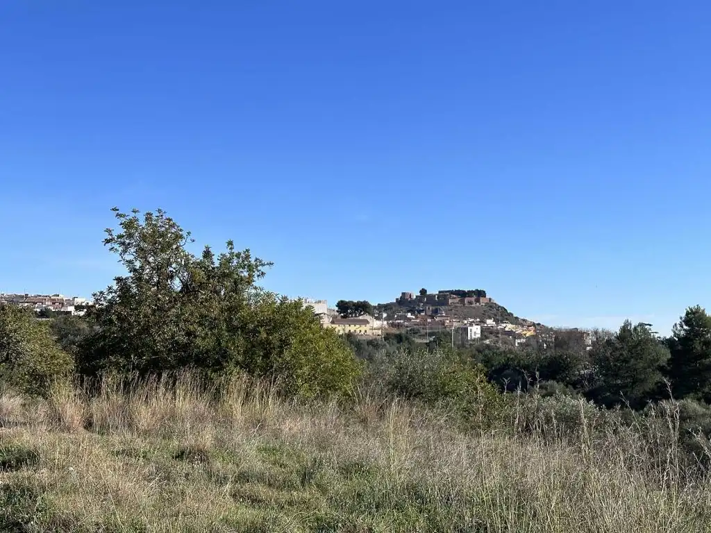 Terrain rustique à vendre à Onda