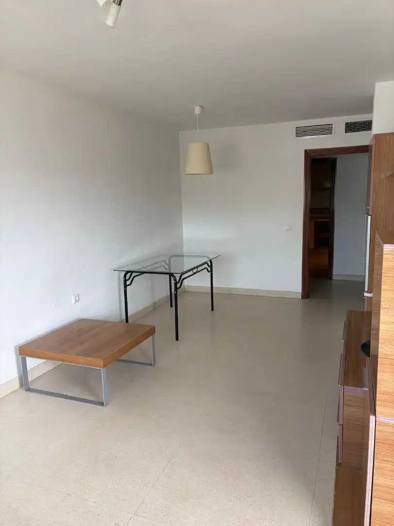 Appartamento con piscina in affitto a Calle Navarro Ledesma, imagen 11