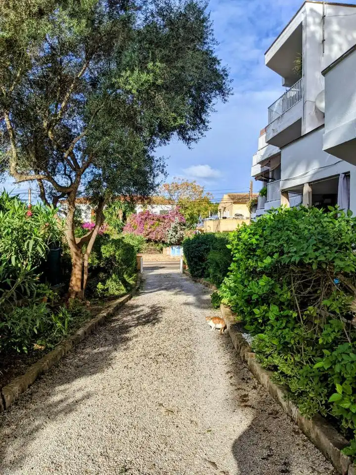 Vista exterior de Edificio en venta en  Palma de Mallorca