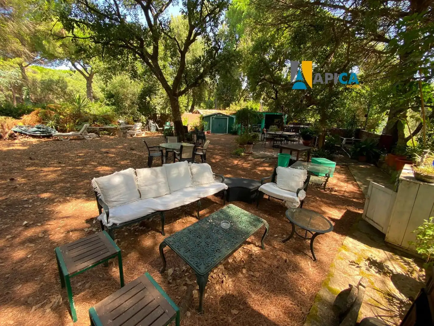 Rural land for sale in Castellar de la Frontera, imagen 16