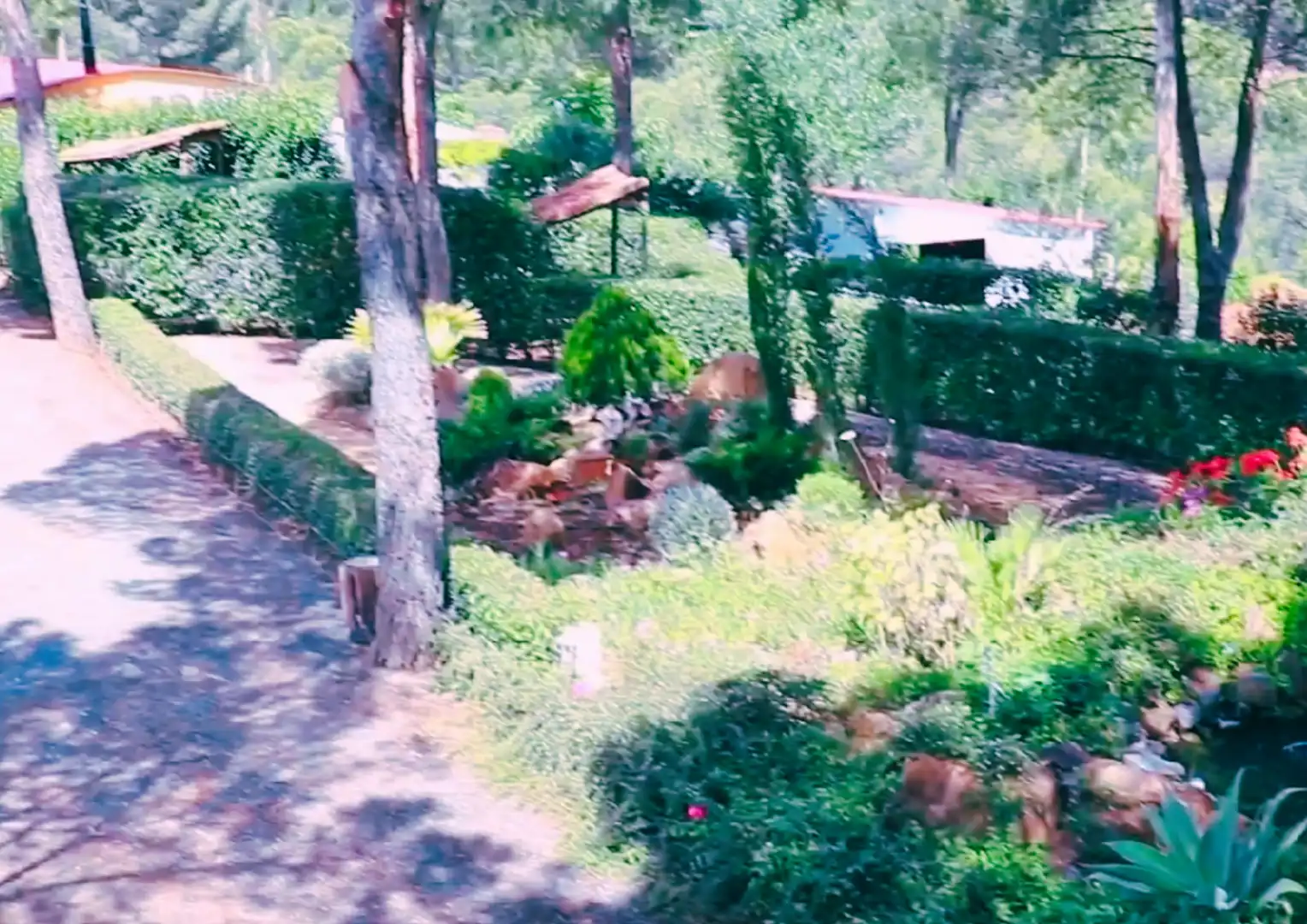 Garden of Buildings for sale in Calañas  with Community pool