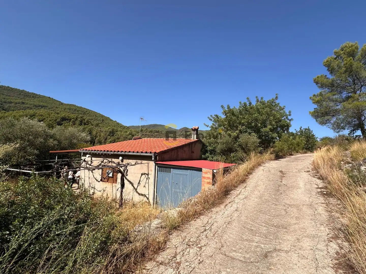 Vista exterior de Finca rústica en venta en Figueroles, Castellón