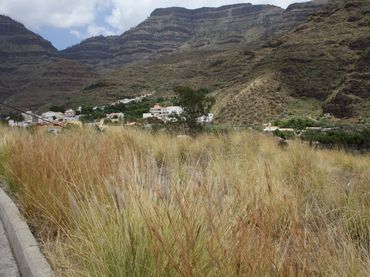 Terreno residenziale in vendita a San Bartolomé Interior