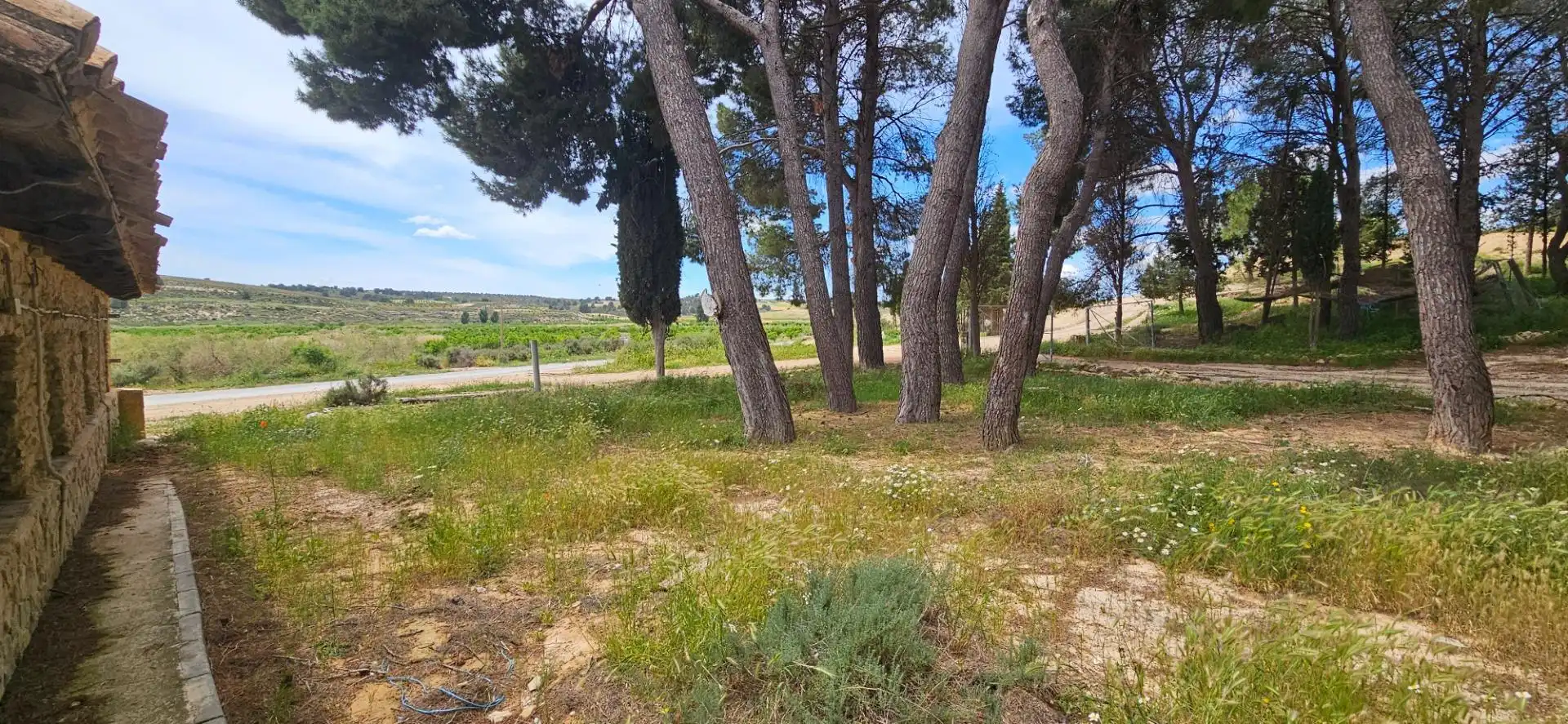 Einzigartige Immobilien zum Verkauf in Caravaca de la Cruz, imagen 71