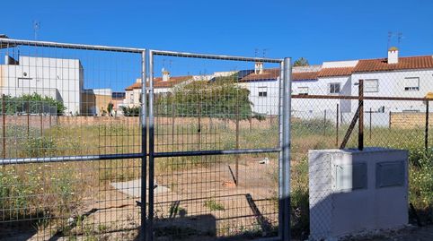 UmbreteTerreno, immagine 2
