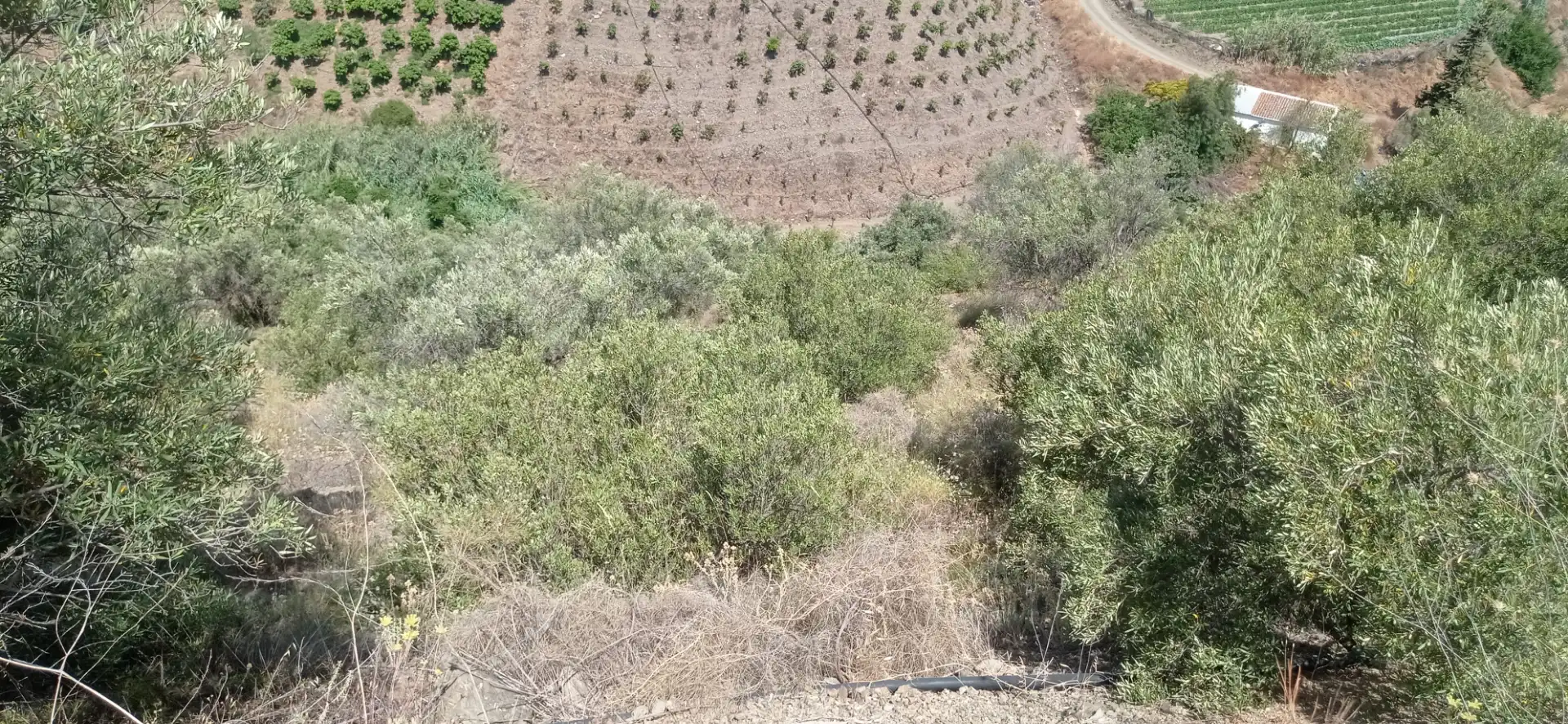Terreny en venda en Vélez-Málaga