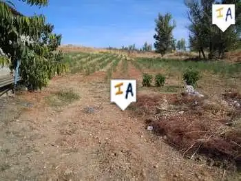 Casa rústica amb piscina en venda a Alcalá la Real, imagen 7
