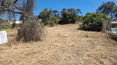 Photo 4 of Residential for sale in Avenida de Los Lagos, Los Lagos, Sevilla