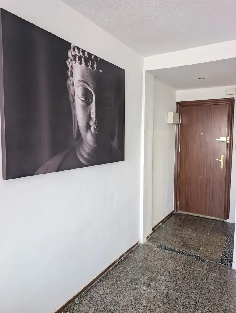 Wohnung zur Miete in Alicante / Alacant mit Möbliert