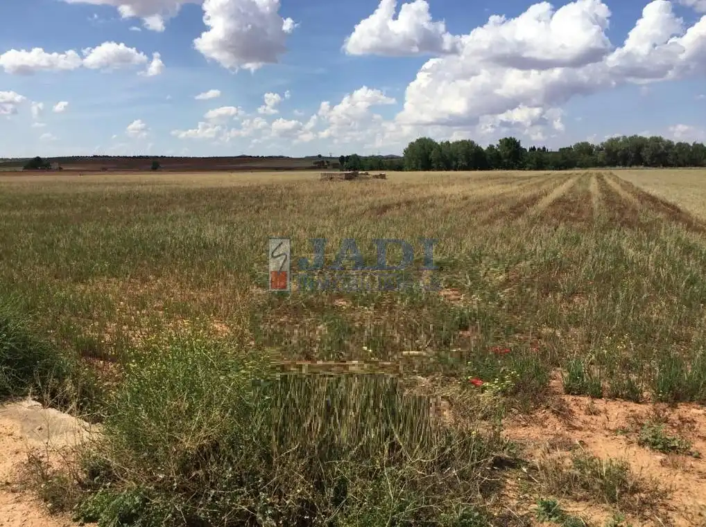 Finca rústica en venta en Alcubillas