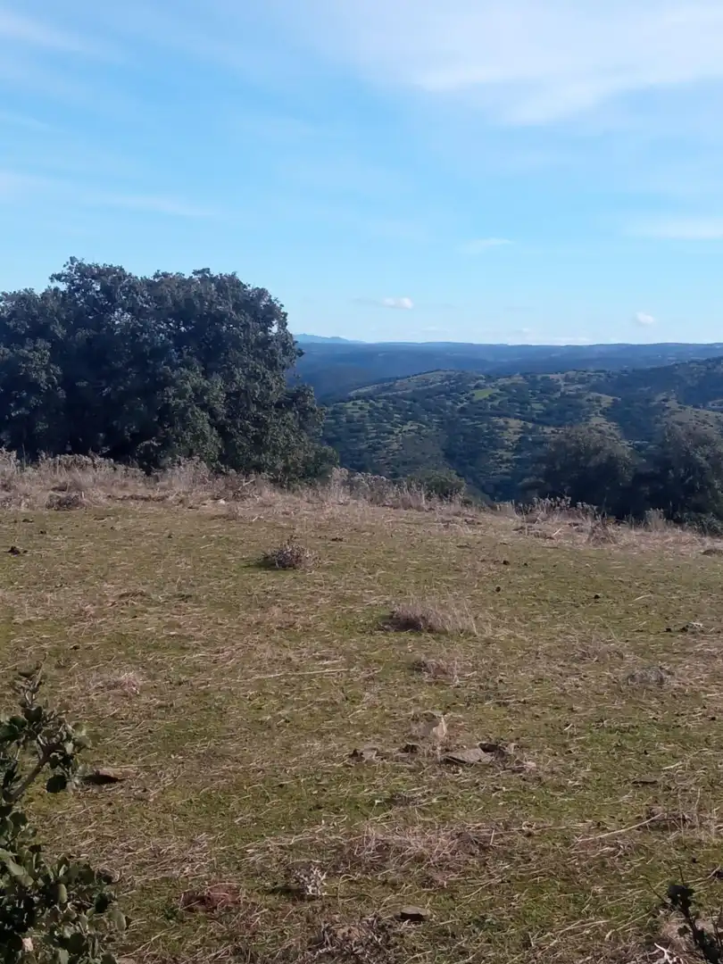 Finca rústica en venda en Cardeña