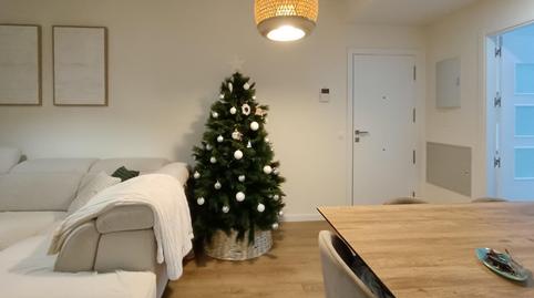 Foto 4 de Planta baixa de lloguer a Chapín - Campus Universitario - Navinco, Jerez de la Frontera