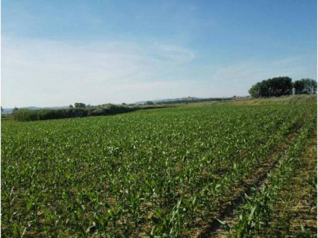 Terreno en Venta en Calle DISEMINADOS en Alberuela de Tubo