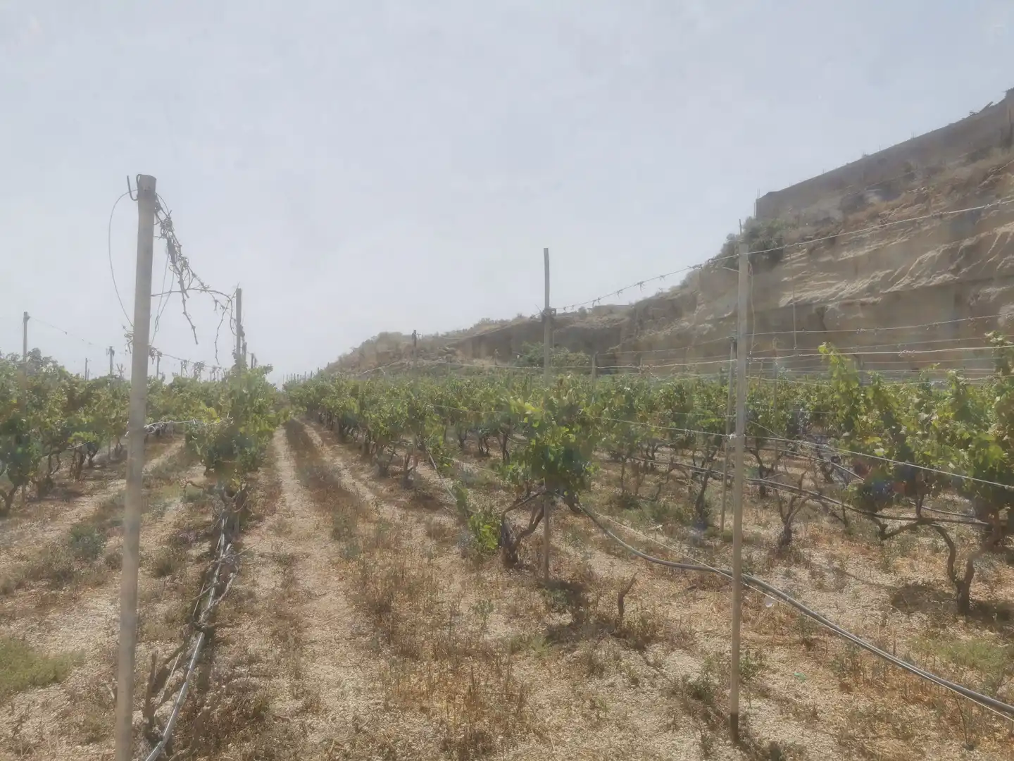 Terreny en venda en Granadilla de Abona