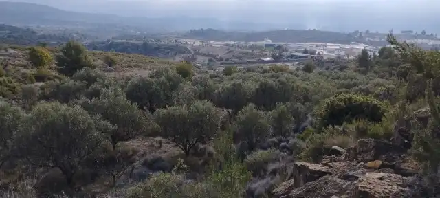 Terrain rustique à vendre à Villar del Arzobispo, imagen 8