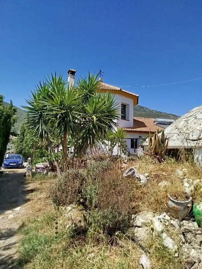 Vista exterior de Casa o chalet en venta en Algodonales con Jardín privado, Piscina y Amueblado