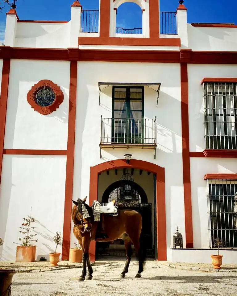 Country house with terrace for sale in Morón de la Frontera, imagen 42