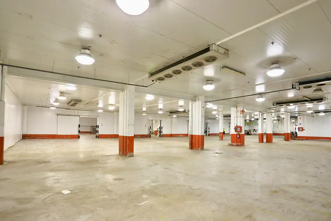 Nave industrielle à vendre à Bekolarra Kalea, imagen 7