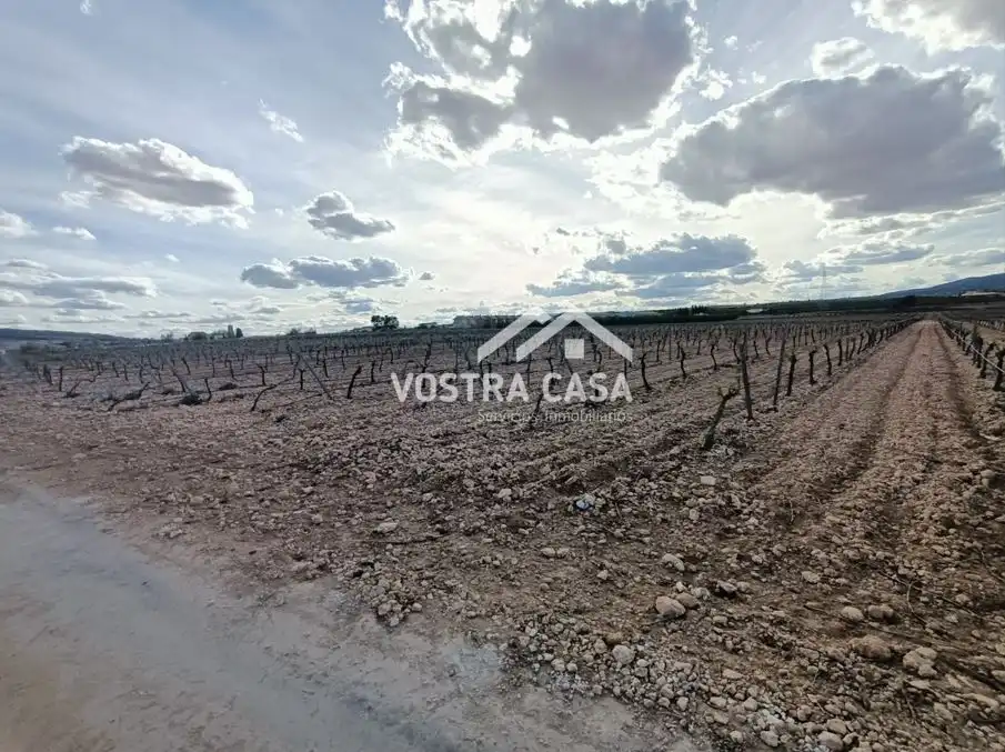 Terreny rústic en venda a PARAJE DE LA CERCA, imagen 20