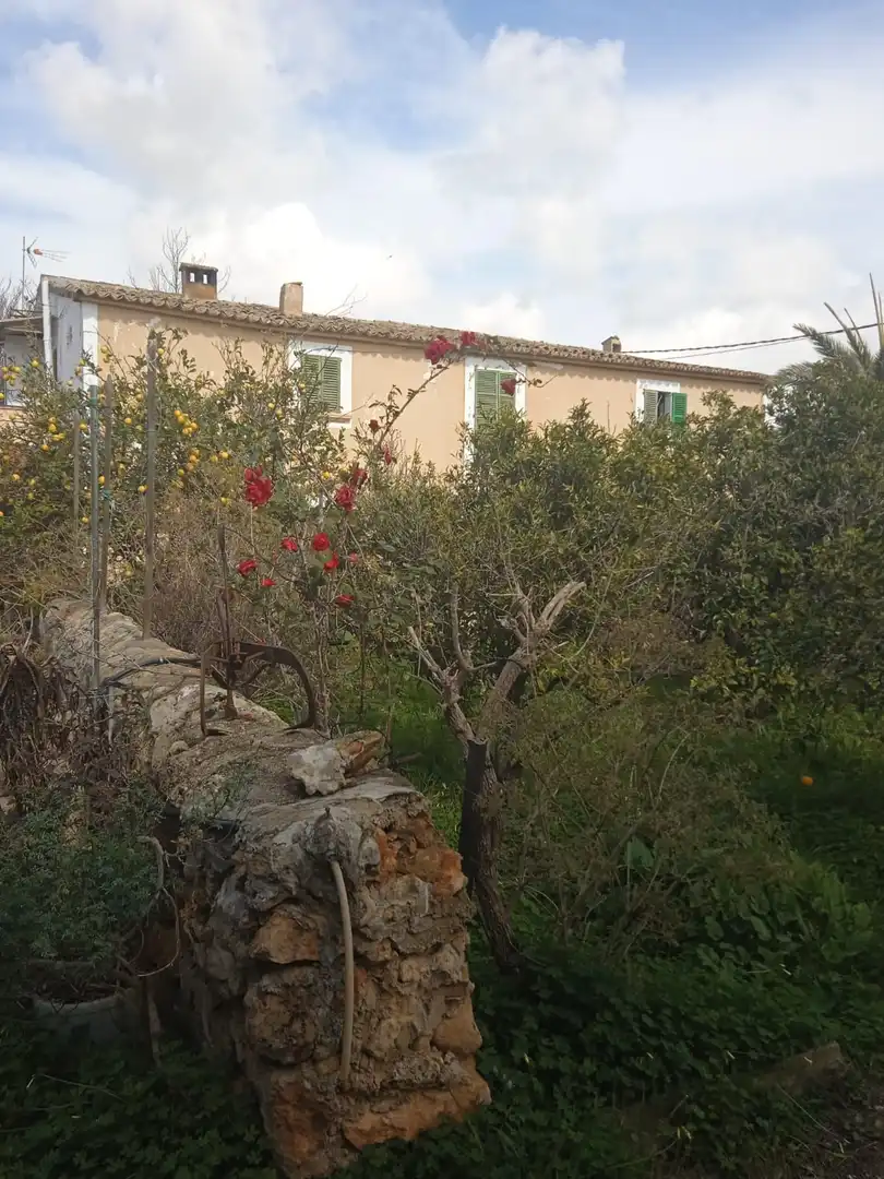 Casa o xalet en venda a Ma-1040, El Secar de la Real