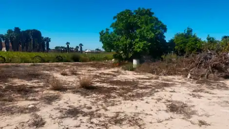 Terrain rustique à vendre à La Foia - Daimés - Asprella, imagen 4
