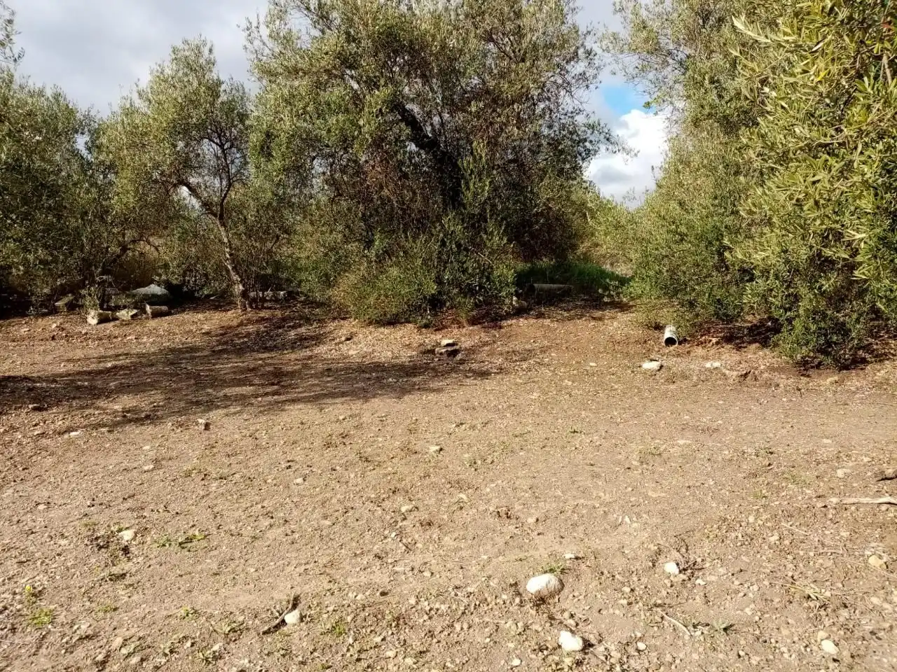 Rural land for sale in Arahal, imagen 4