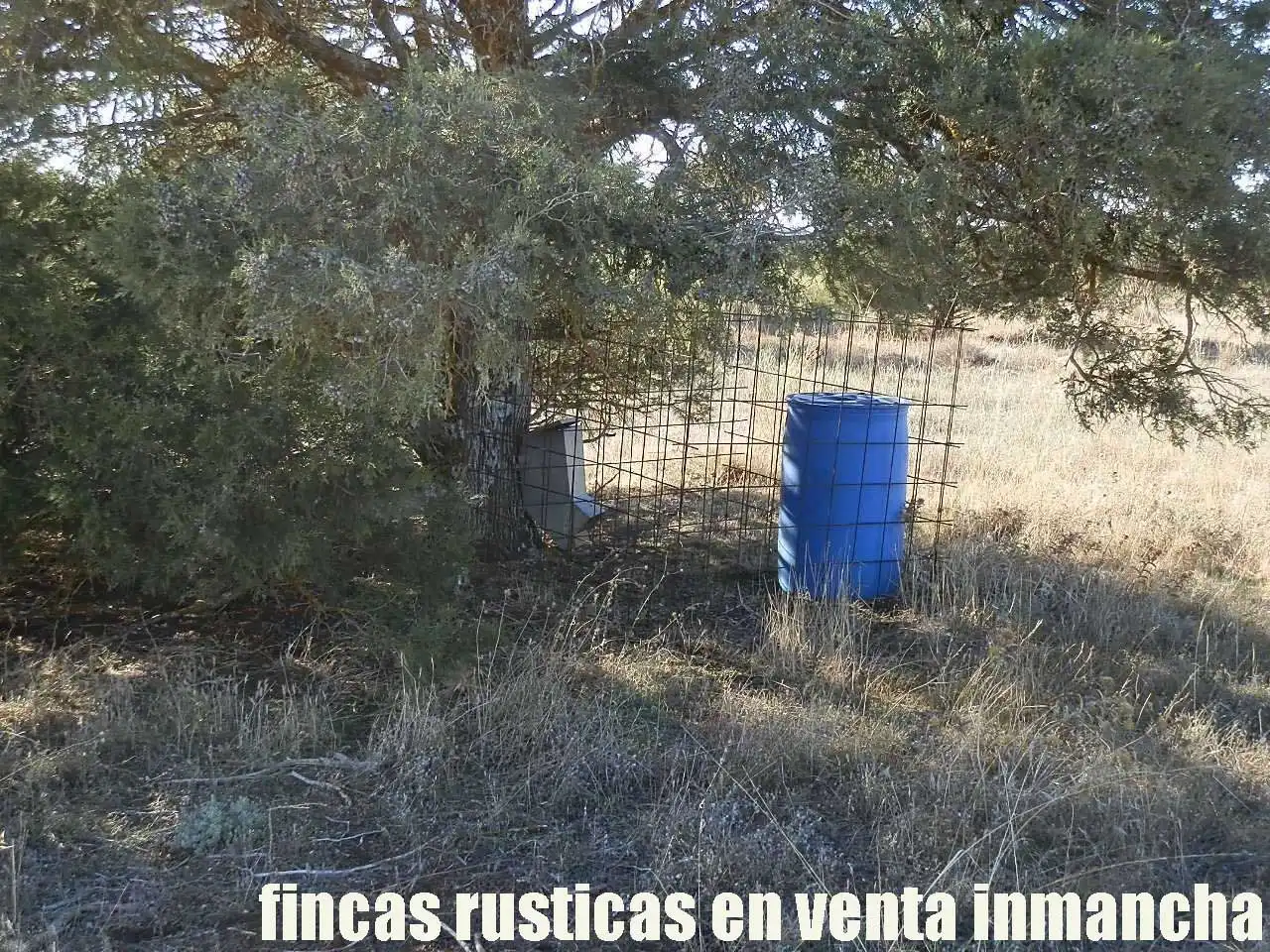 Lands and plots for sale in Ossa de Montiel, imagen 25