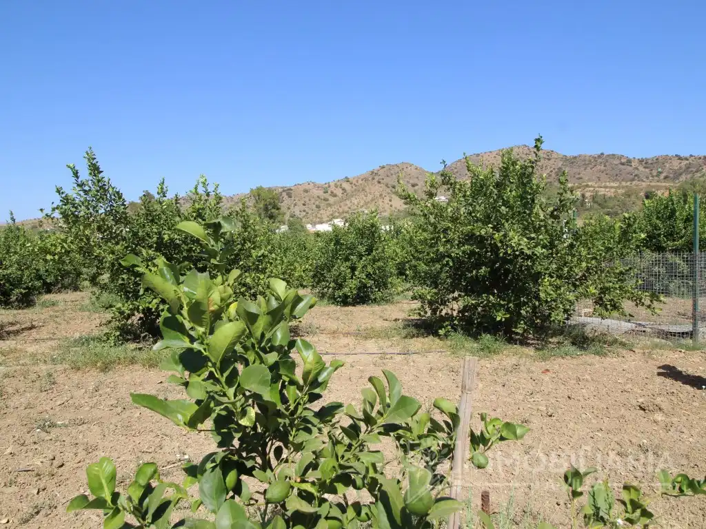Casa o xalet en venda en Álora amb Aire condicionat, Jardí privat i Terrassa