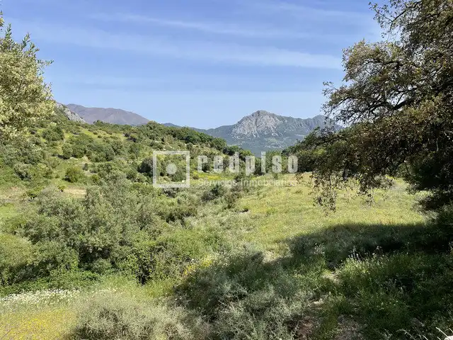 Residential for sale in Gaucín