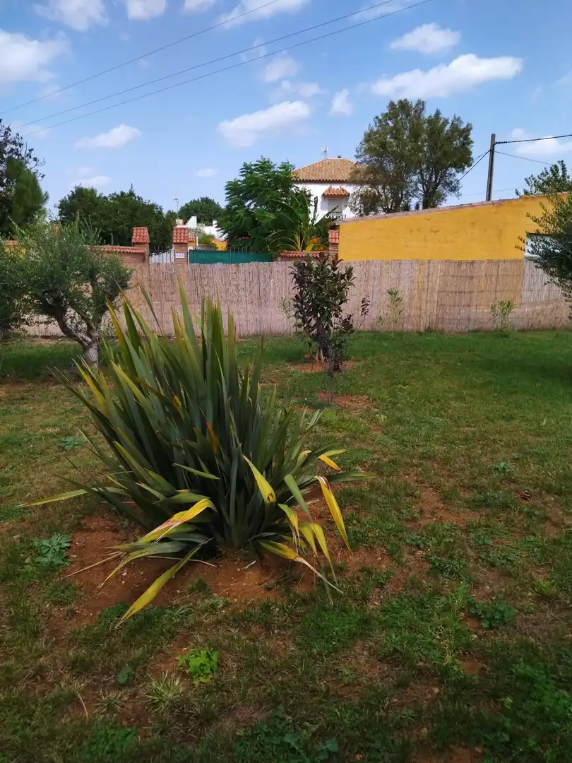 Villa avec piscine à vendre à Barrio Nuevo, imagen 9