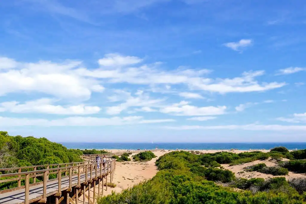 Vista exterior de Casa o xalet en venda en Santa Pola amb Aire condicionat, Calefacció i Jardí privat