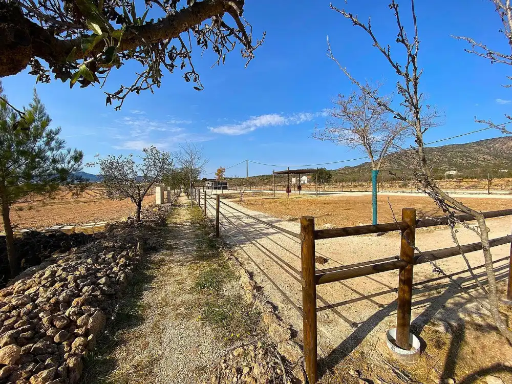 Casa o chalet en venta en El Pinós / Pinoso