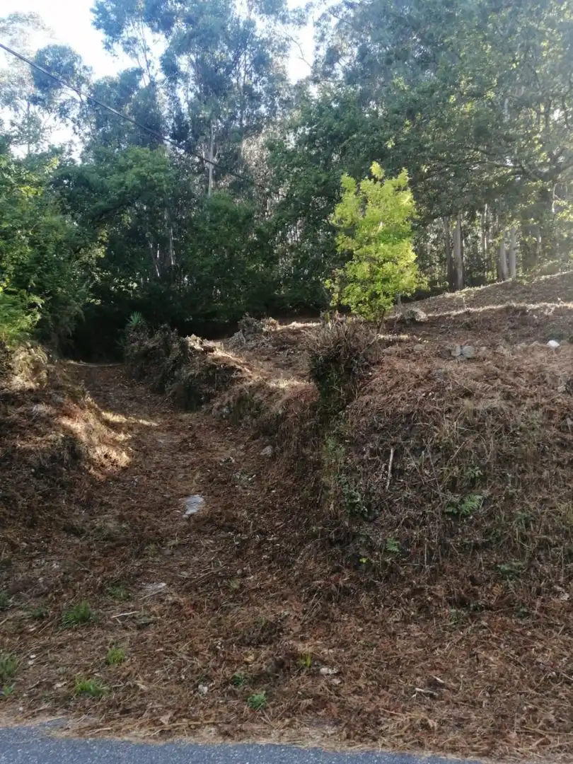 Finca rústica en venta en Ponteareas