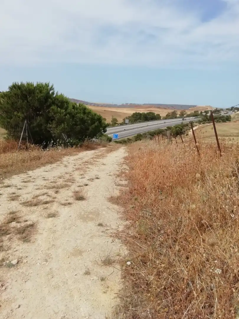 Terreno rustico in vendita a Barbate ciudad, imagen 4