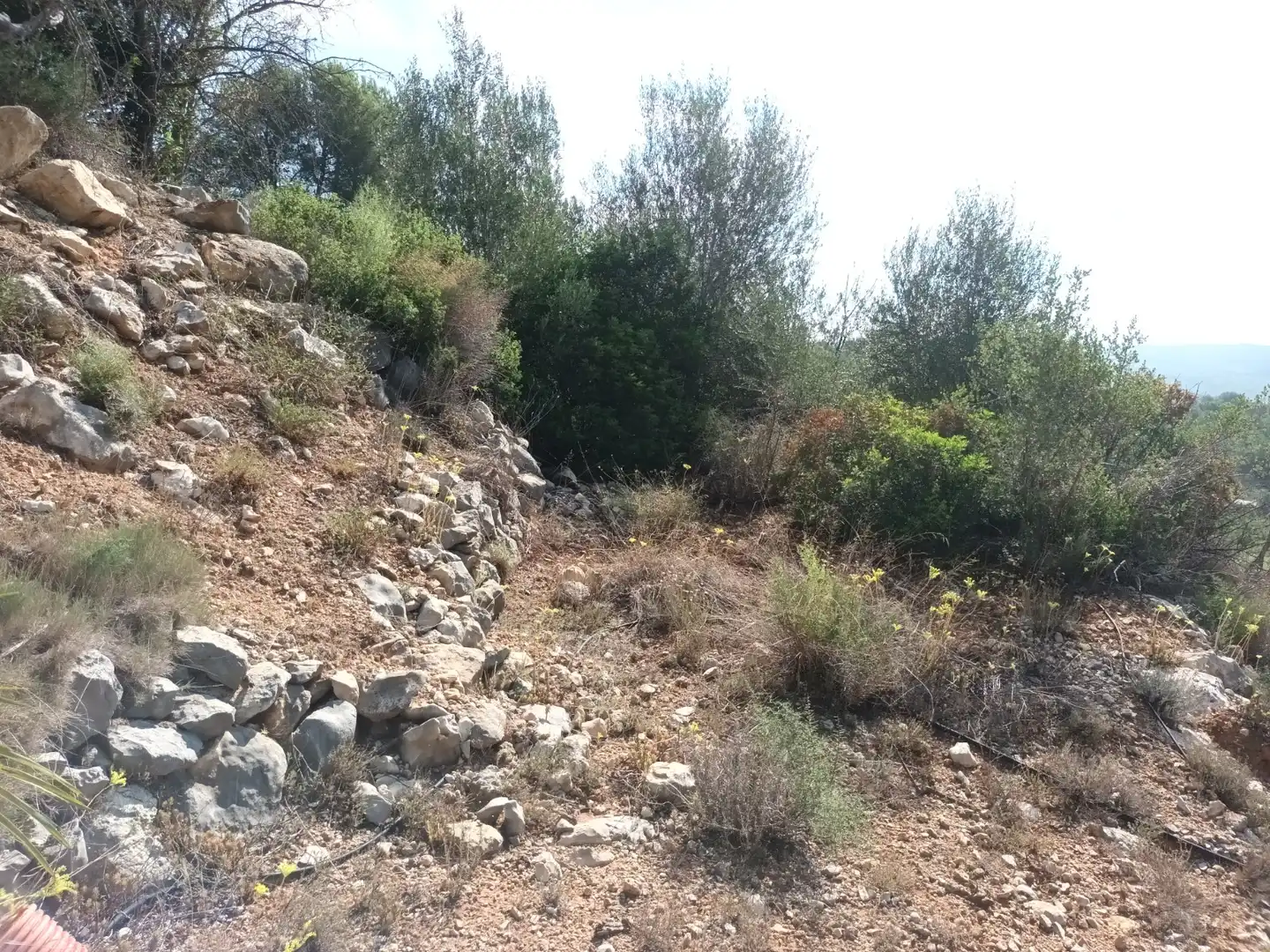 Terreno en venta en Benigànim